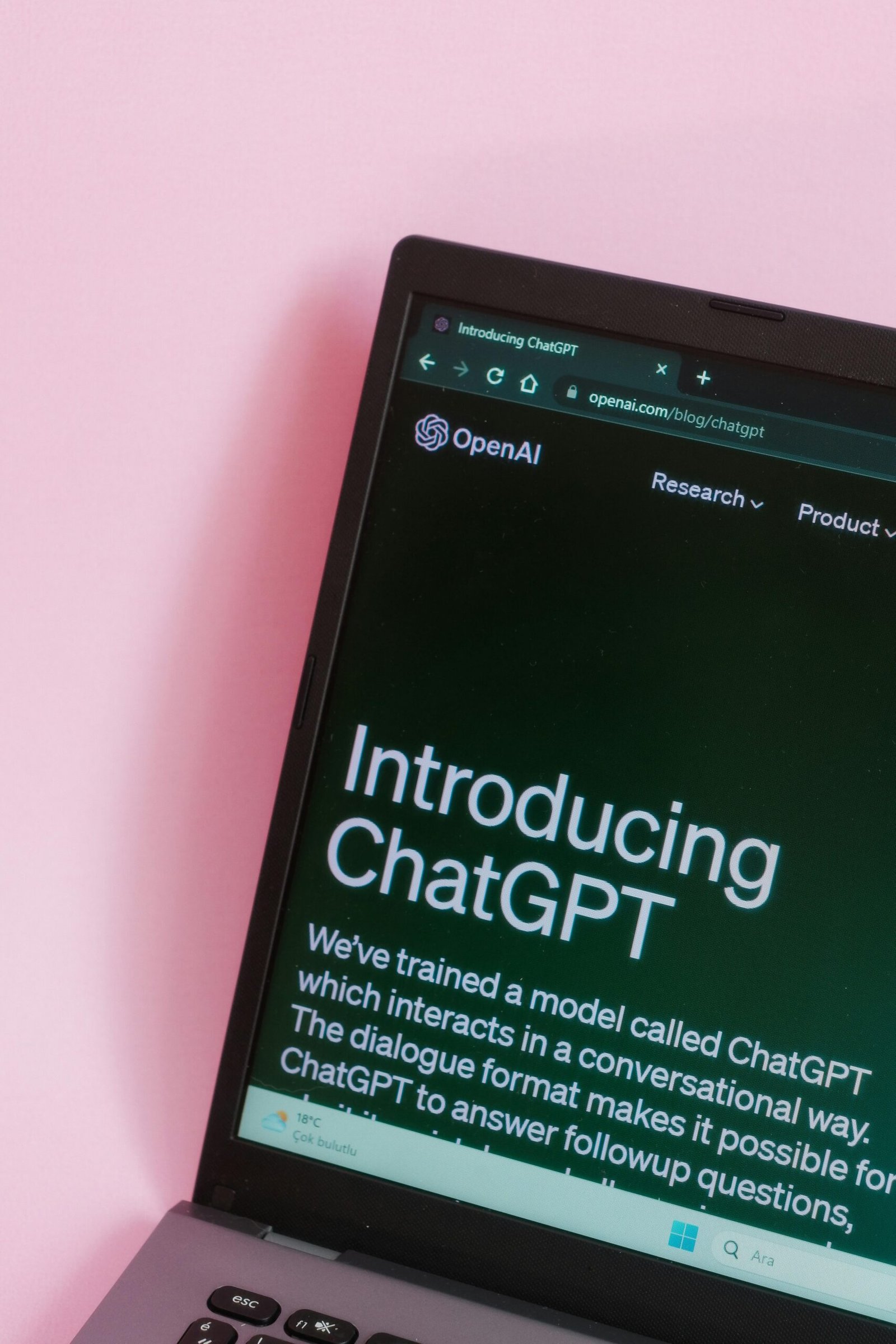 pexels-beyzaa-yurtkuran-279977530-16245253